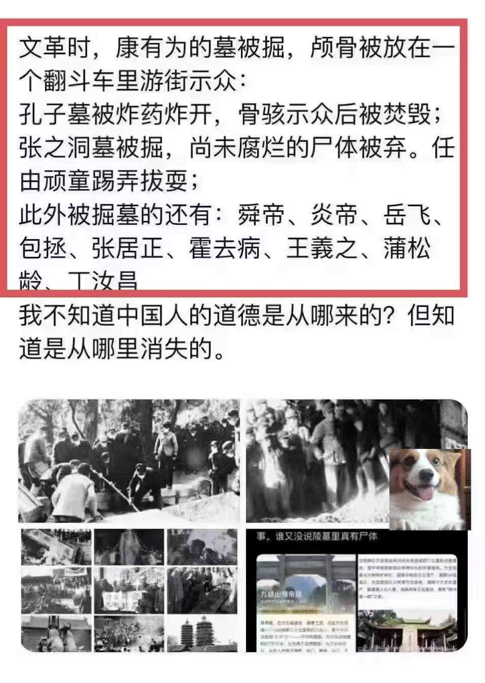 SHIB骗局曝光遭曝光，已有超LDO人被骗！，震惊市场